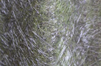 Cynonville fibreglass roof work